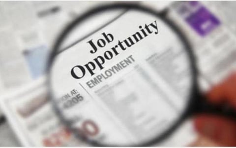 இந்தியர்களின் வேலைவாய்ப்பை உறுதி செய்ய அரசு தீவிரம்: வெளிநாடுகளில் பேசி வருவதாக வெளியுறவுத் துறை அமைச்சர் தகவல்