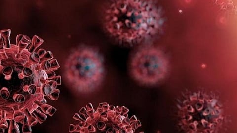 பாளை.யில் ஒரே வீட்டில் 4 பேருக்கு கரோனா தெருவை மூடியது மாநகராட்சி