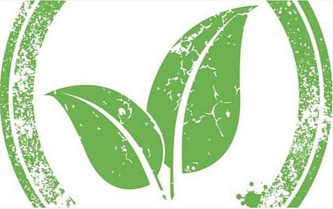 சுற்றுச்சூழலுக்கு முக்கியத்துவம் தராதது ஏன்?