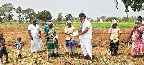 கலசப்பாக்கம் அடுத்த மசார் கிராமத்தில் விவசாய பணியில் ஈடுபட்டிருந்தவர்களிடம் வாக்கு சேகரித்த அதிமுக வேட்பாளர் பன்னீர்செல்வம்.