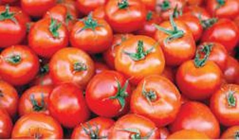 தக்காளி ரூ.5-க்கு விற்பனை : விவசாயிகள் வேதனை