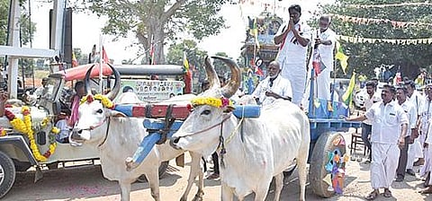 சிவகங்கை தொகுதி ஏ.விளாக்குளத்தில் மாட்டு வண்டியில் சென்று வாக்குச் சேகரித்த அதிமுக வேட்பாளர் பி.ஆர்.செந்தில்நாதன்.