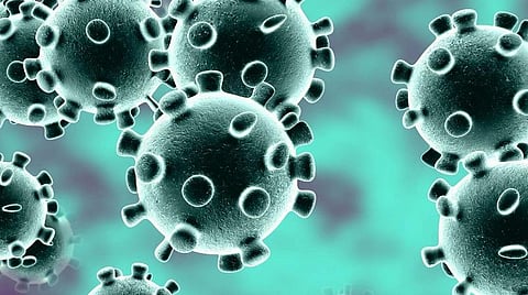 பிரதிநிதித்துவப் படம்