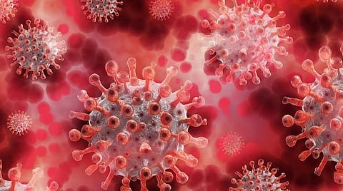 பிரதிநிதித்துவப் படம்