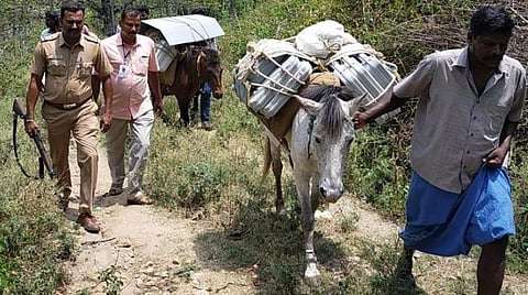 தேனி மாவட்டம் போடி தொகுதி குரங்கணியில் இருந்து சென்ட்ரல் வாக்குச்சாவடிக்கு அடர்ந்த வனப்பகுதி வழியே மின்னணு இயந்திரங்கள் குதிரைகள் மூலம் கொண்டு செல்லப்பட்டன.