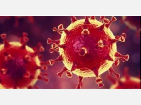 புதுச்சேரியில் கரோனாவுக்கு மேலும் 2 பேர் உயிரிழப்பு: புதிதாக 237 பேர் பாதிப்பு