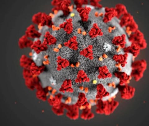 பிரதிநிதித்துவப் படம்