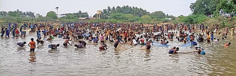 திண்டுக்கல் அருகே புகையிலைப்பட்டியிலுள்ள குளத்தில் நடந்த மீன்பிடித் திருவிழாவில் ஆர்வமுடன் மீன்பிடித்த கிராம மக்கள்.