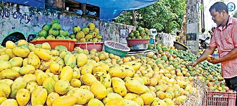 விற்பனைக்காக வைக்கப்பட்டுள்ள மாம்பழங்கள் (கோப்புப் படம்)