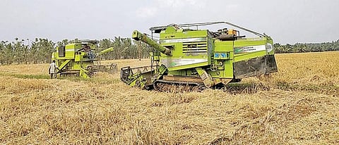 ஆனைமலை அடுத்த ரமணமுதலிபுதூர் பகுதியில் இயந்திரம் மூலம் நடைபெறும் நெல் அறுவடைப் பணி.