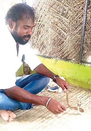 நல்ல பாம்புடன் ராஜேந்திரன்.