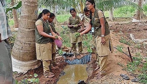 விவசாயிகளுக்கு செயல்முறை விளக்கம் அளித்த வேளாண் மாணவியர்.