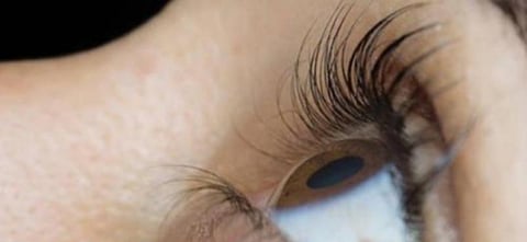 கண்களை ஸ்கேன் செய்வதன் மூலம் கரோனா தொற்றை 3 நிமிடங்களில் கண்டறியலாம்: ஜெர்மனி நிறுவனம் புதிய செயலி அறிமுகம்