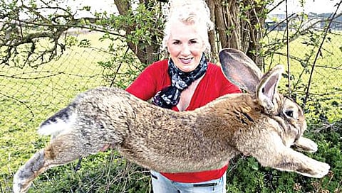 டாரியஸ் உடன் எட்வர்ட்ஸ்