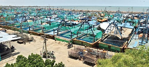 61 நாள் மீன்பிடித் தடைக்காலம் அமலுக்கு வந்ததை தொடர்ந்து தூத்துக்குடி மீன்பிடித் துறைமுகத்தில் கடலுக்கு செல்லாமல் ஓய்வெடுக்கும் விசைப்படகுகள். படம்: என்.ராஜேஷ்