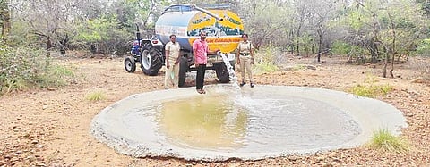 திருவண்ணாமலையில் உள்ள அண்ணாமலை அடிவாரத்தில் வன விலங்குகள் மற்றும் பறவைகளின் தாகத்தை தணிக்க குட்டை அமைத்து டேங்கர் லாரி மூலம் தண்ணீர் நிரப்பப்படுகிறது.