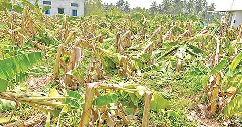 ஈரோடு வஉசி பூங்கா காய்கறி மார்க்கெட்டில் தொடர் மழை காரணமாக தண்ணீர் தேங்கி நிற்கிறது.