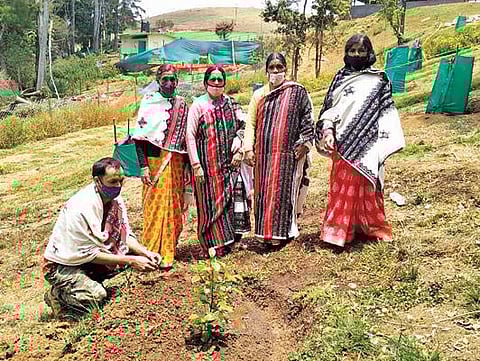 நடிகர் விவேக் நினைவாக மரக்கன்றுகள் நட்டு அஞ்சலி :