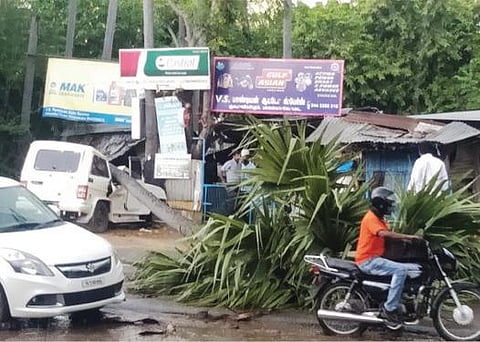 பாளையங்கோட்டையில் பலத்த காற்றில் பனை மரம் சாய்ந்து காரின் மீது விழுந்தது. படம்: மு.லெட்சுமி அருண்