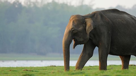 கோப்புப் படம்