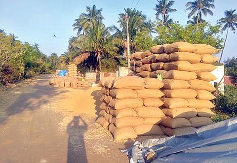 புளியரை நெல் கொள்முதல் நிலையம் அருகே விற்பனைக்காக குவித்து வைக்கப்பட்டிருந்த நெல் மூட்டைகள். (கோப்புப் படம்)