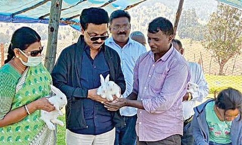 கொடைக்கானல் மன்னவனூர் மலைக்கிராமத்தில் உள்ள முயல் பண்ணையில் முயல்களை கையில் தூக்கி பார்த்து ரசித்த திமுக தலைவர் மு.க.ஸ்டாலின். அருகில் துர்கா ஸ்டாலின்.