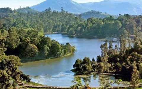 சுற்றுலாப் பயணிகளுக்கு தடை: வெறிச்சோடியது கொடைக்கானல்