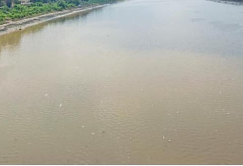 தேனி அருகே வைகை ஆற்றில் மூழ்கி இருவர் பலி