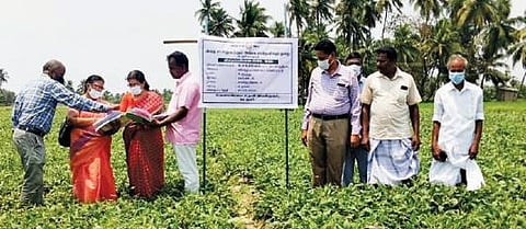 கடலூர் அருகே மதலப்பட்டு கிராமத்தில் அமைக்கப்பட்டுள்ள உளுந்து விதைப்பண்ணையை விதைச்சான்று மற்றும் அங்ககச்சான்று துறை இணை இயக்குநர் மல்லிகா ஆய்வு செய்தார்.