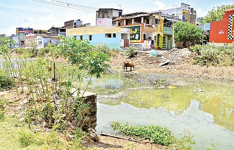 குறிச்சி அருகே பாளையங்கால்வாயில் சாக்கடை நீர் கலப்பதால் கழிவுநீர் மேலப்பாளையத்தில் ஓடையாக மாறியுள்ளது. படங்கள்: மு.லெட்சுமி அருண்