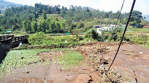 நீலகிரி மாவட்ட சுற்றுவட்டாரப் பகுதிகளில் கனமழை - பயிர்கள் நீரில் மூழ்கியதால் விவசாயிகள் கவலை :
