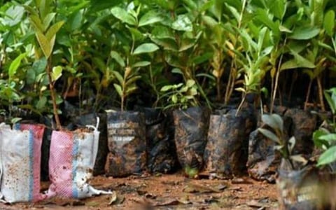 கோப்புப்படம்