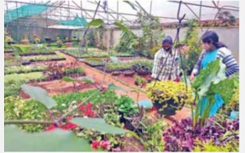 சுற்றுலாவுக்கு தடை விதிக்கப்பட்டுள்ள நிலையில் விற்பனைக்கு தயாரான மலர் நாற்றுகள் அழுகும் அவலம்: குன்னூரில் உற்பத்தியாளர்கள் கவலை