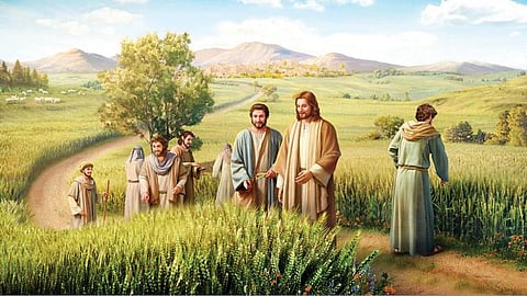 இயேசுவின் உருவகக் கதைகள் 37: மனிதமே புனிதம்