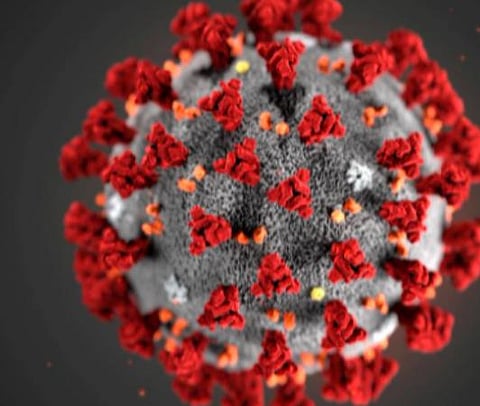 பிரதிநிதித்துவப் படம்