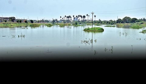 பறவைகள் வருகைக்காக மணல் திட்டுகள் உருவாக்கப்பட்டு மேம்படுத்தப்பட்ட திருநெல்வேலி வேய்ந்தான்குளம், கழிவுகள் கொட்டப்படுவதால் தற்போது நோய்வாய்ப்பட்டது போன்று காட்சியளிக்கிறது. பறவைகள் இந்த பக்கம் திரும்புவது கூட இல்லை. படம்: மு.லெட்சுமி அருண்