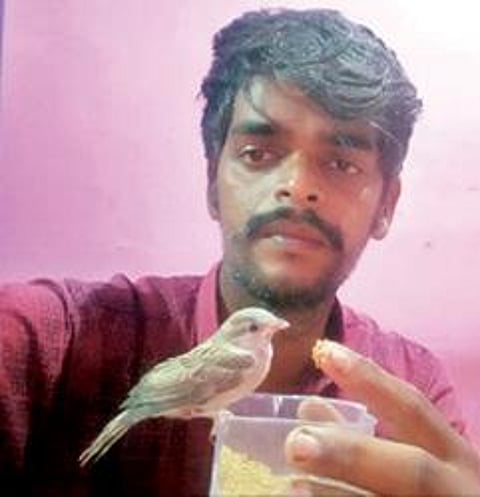 சிட்டுக் குருவிக்கு உணவளிக்கும் காஜா மைதீன்.