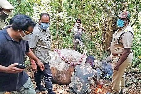 வால்பாறையில் பள்ளத்தில் விழுந்து உயிரிழந்த குட்டி யானைக்கு மலர் தூவி அஞ்சலி செலுத்திய வனத்துறையினர்.