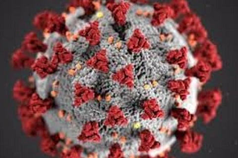 பிரதிநிதித்துவப் படம்