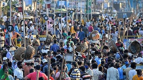 காசிமேடு மீன்பிடித் துறைமுகத்தில் வியாபாரிகள் தவறாது கரோனா பாதுகாப்பு வழிமுறைகளை கடைப்பிடிக்க வேண்டும்: மீன்வளத் துறை அறிவுறுத்தல்