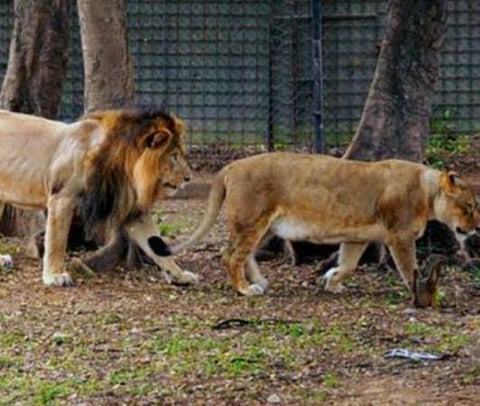 பிரதிநிதித்துவப் படம்