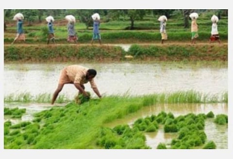 டெல்டா எம்எல்ஏக்கள் 15 பேரில் ஒருவர் கூட அமைச்சர் இல்லை: டெல்டா மாவட்டங்கள் புறக்கணிப்பா?- திமுகவினர் அதிருப்தி