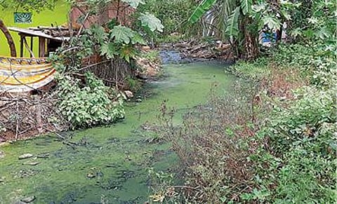 சேத்தியாத்தோப்பு அருகே உள்ள கானூர் கிராமத்தில் தெருவில் வழிந்தோடும் சாக்கடை கழிவு நீர்.