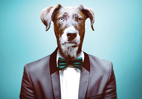 பசுமை சிந்தனைகள் 04: பாரபட்சமான கரிசனம் உலகைக் காக்குமா?