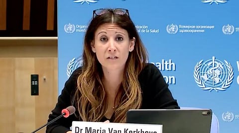 உலக சுகாதார அமைப்பி்ன் தொழில்நுட்பக்குழுத் தலைவர் மருத்துவர் மரியா வான் கெர்கோவ் | படம் உதவி ட்விட்டர்