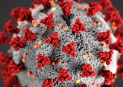 வடகிழக்கு மாநிலங்களில் கரோனா முன்னெச்சரிக்கை: அதிகாரிகளுடன் மத்திய அரசு ஆலோசனை