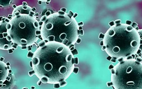 கரோனா ஒழிப்பு நடவடிக்கையை மக்கள் இயக்கமாக மாற்ற வேண்டும்: வல்லுநர்கள் கலந்தாய்வில் அரசுக்கு வேண்டுகோள்