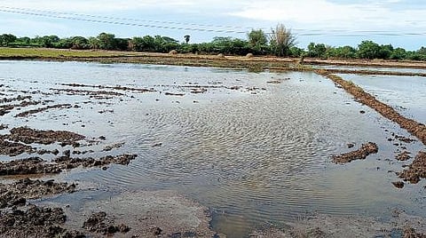 மயிலாடுதுறை மாவட்டம், அருண்மொழித்தேவன் அருகே குறுவை சாகுபடிக்காக பம்புசெட் மூலம் நீர்பாய்ச்சி தயார்படுத்தப்படும் வயல்.
