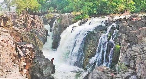 புயல் காரணமாக காவிரி நீர்பிடிப்புப் பகுதியில் பெய்த மழையை தொடர்ந்து, தருமபுரி மாவட்டம் ஒகேனக்கல் காவிரியாற்றில் நீர் வரத்து அதிகரித்துள்ளது. இதனால், அங்குள்ள பாறைகளில் இருந்து பள்ளத்தில் அருவியாக கொட்டும் தண்ணீர்.