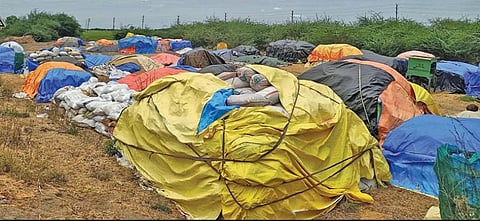 திட்டக்குடி அருகே அரிகேரி கிராமத்தில் பிளாஸ்டிக் விரிப்புகளால் மூடப்பட்டிருக்கும் நெற் குவியல்கள்.